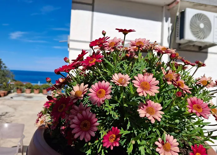 Amar Seaside